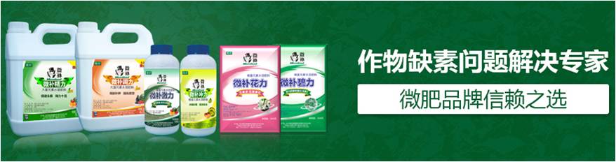 #微肥課堂#為什么葉面肥養(yǎng)分含量相同，效果卻不同？