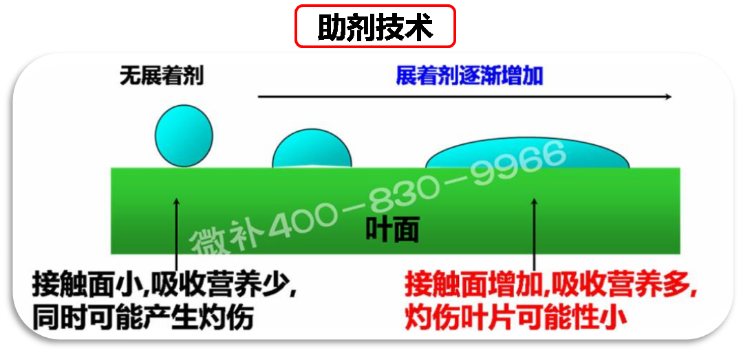 余教授德國(guó)鄉(xiāng)村行：我在德國(guó)為什么不會(huì)點(diǎn)啤酒了？