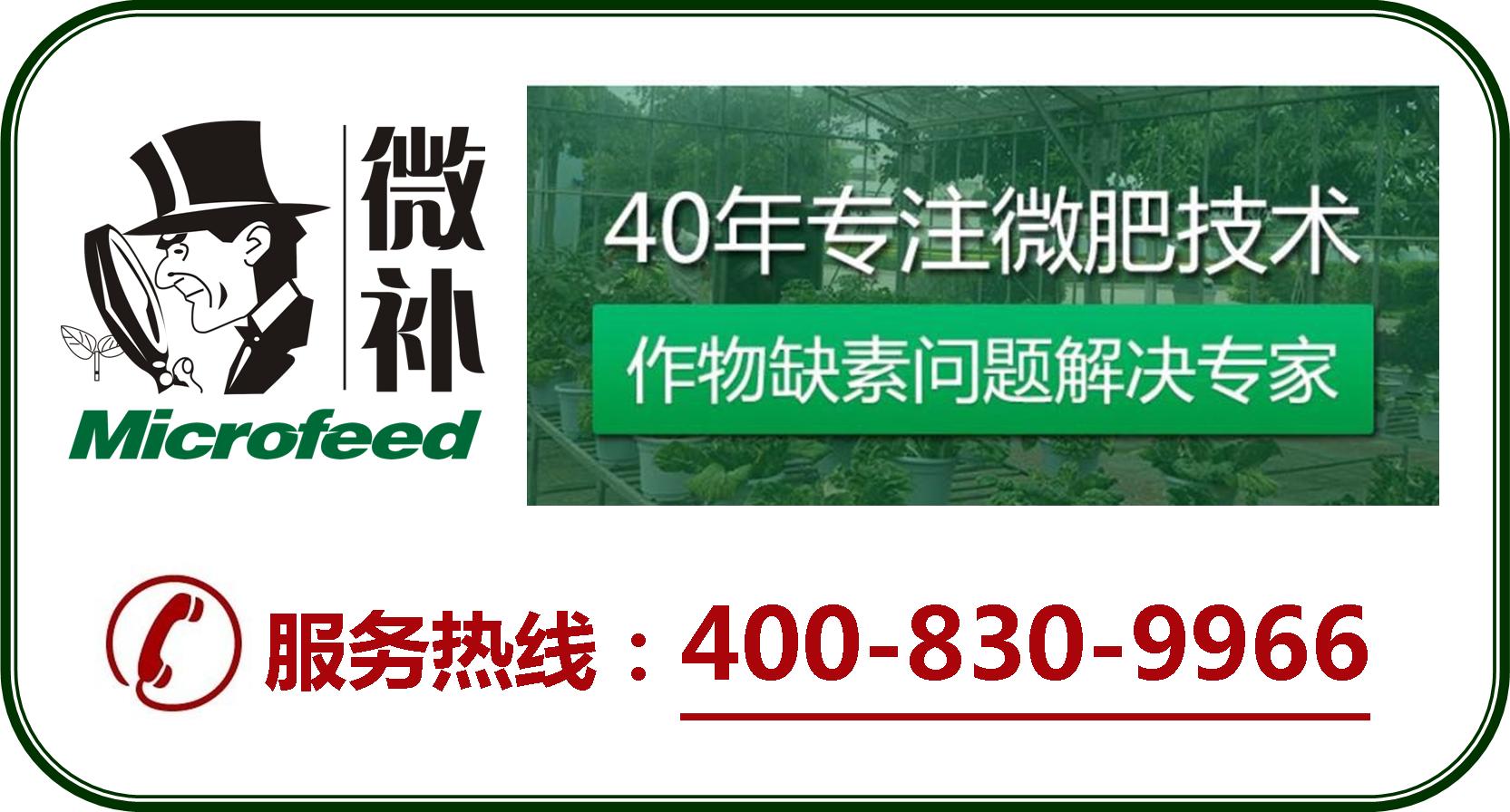 余教授德國鄉(xiāng)村行：摩澤爾河的葡萄魅力在哪兒？