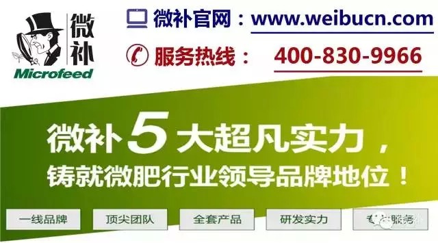 余教授奧地利維也納行：不懂音樂的農(nóng)民教授，在音樂之都的感受
