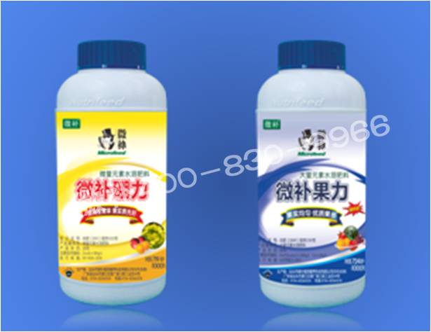 莖尖枯死，到底是缺硼還是缺鈣？
