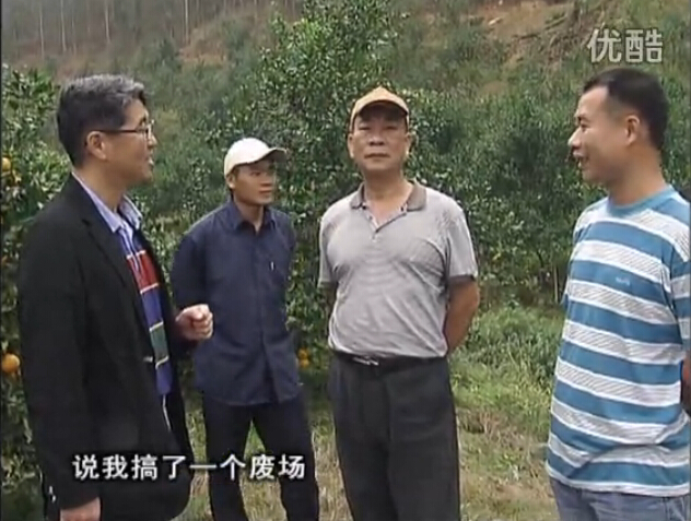 20160118珠江臺(tái)搖錢樹：貢柑用微補(bǔ)全年?duì)I養(yǎng)方案，黃樹翻身還高產(chǎn)增果
