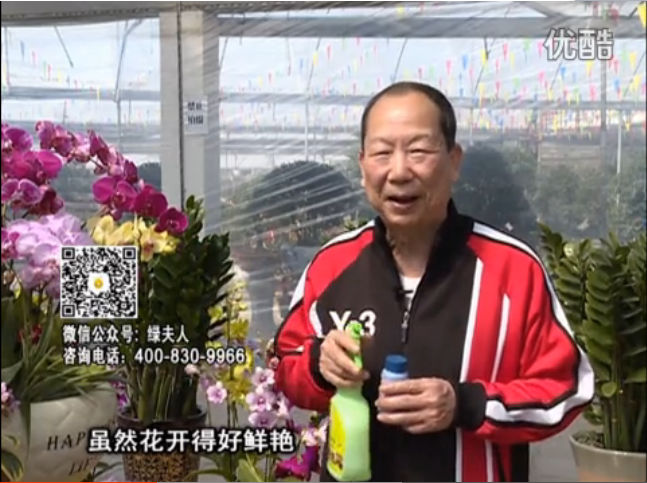 20160314珠江臺搖錢樹：家種鮮花、鮮切花，用綠夫人600度鮮花液保花艷、花期長