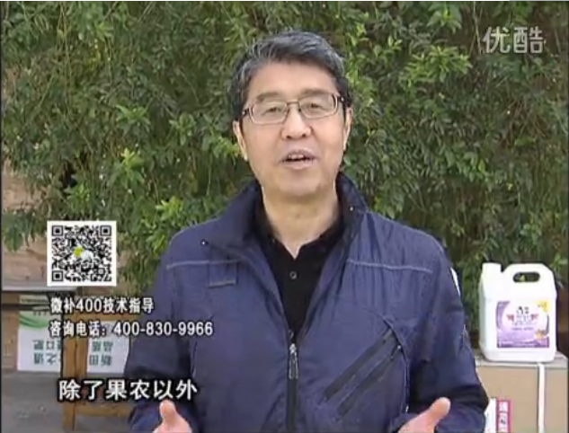 20160321珠江臺搖錢樹：柑橘用微補方案，百萬收入不是夢