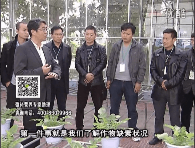 20160418珠江臺搖錢樹：和重慶種植業(yè)主走進微補，探秘微補生產(chǎn)研發(fā)技術(shù)