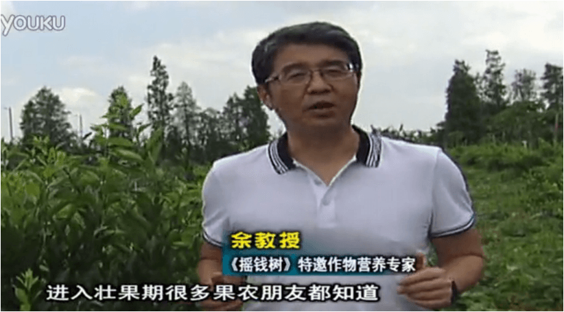 20160620珠江臺搖錢樹：柑橘淋微補調(diào)力、噴蓋力+壯力，調(diào)酸壯長勢、膨果防裂好