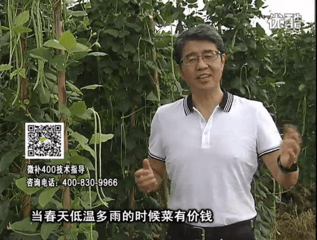 20160704珠江臺(tái)搖錢樹(shù)：蔬菜用微補(bǔ)方案，省肥藥又保產(chǎn)