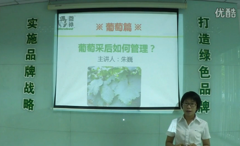 葡萄-采后恢復樹勢、來年花芽分化好.微補講座