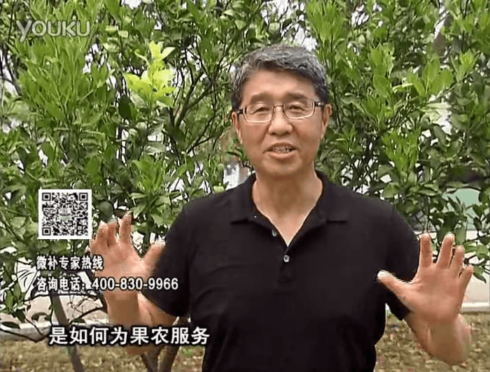 20160912珠江臺搖錢樹：針對果場面積、缺素營養(yǎng)、設(shè)施管理、投入產(chǎn)出，微補做個性化定制服務(wù)