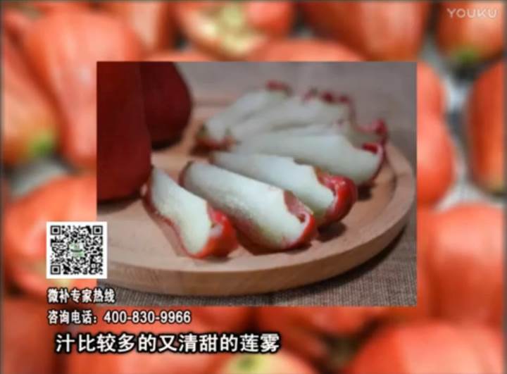 20170424珠江臺(tái)搖錢(qián)樹(shù)：蓮霧淋沖微補(bǔ)水肥，壯長(zhǎng)、提高果實(shí)品質(zhì)賣價(jià)