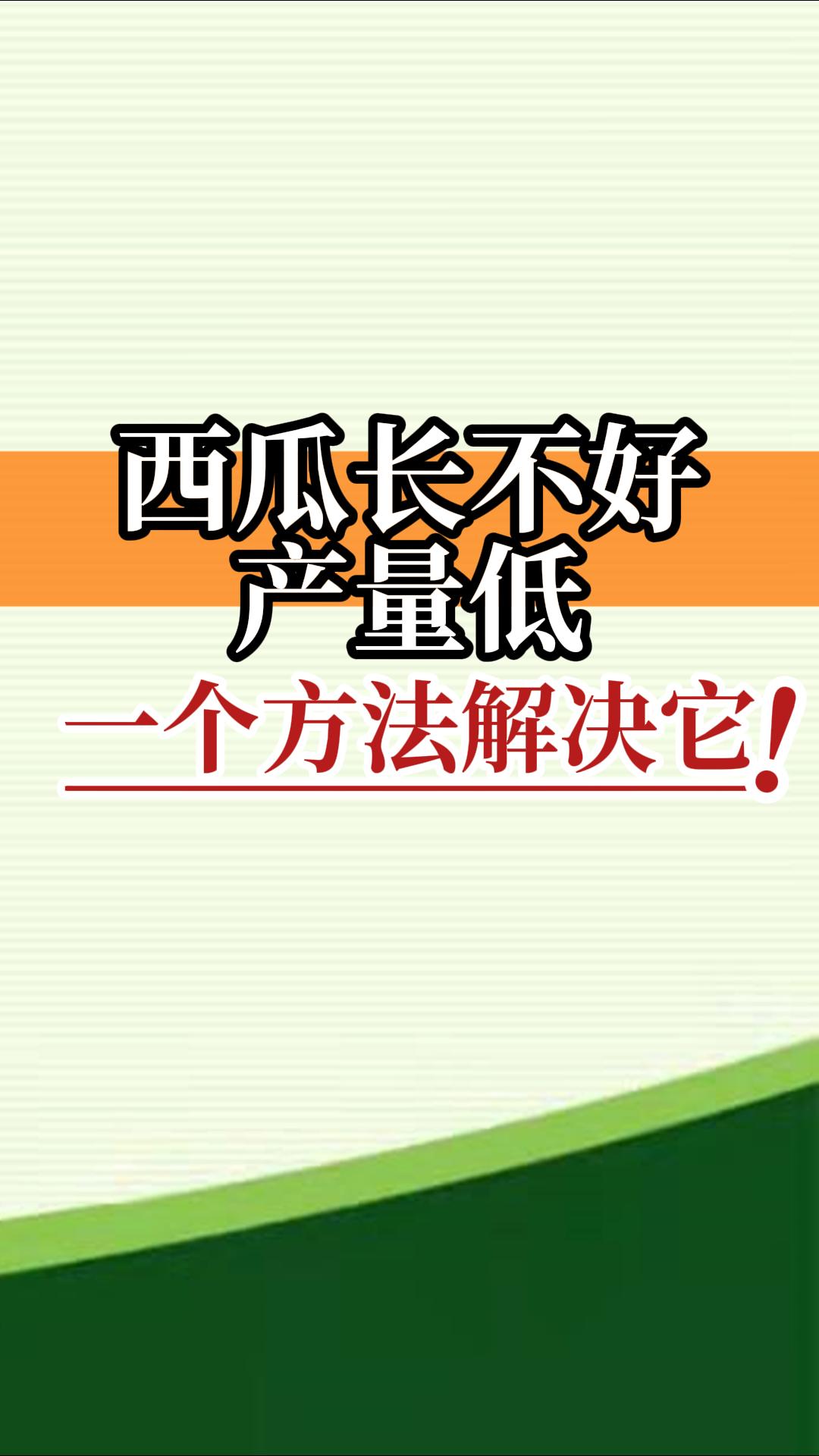 西瓜長不好產(chǎn)量低？