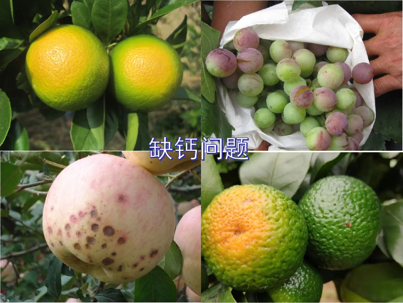 圖片1