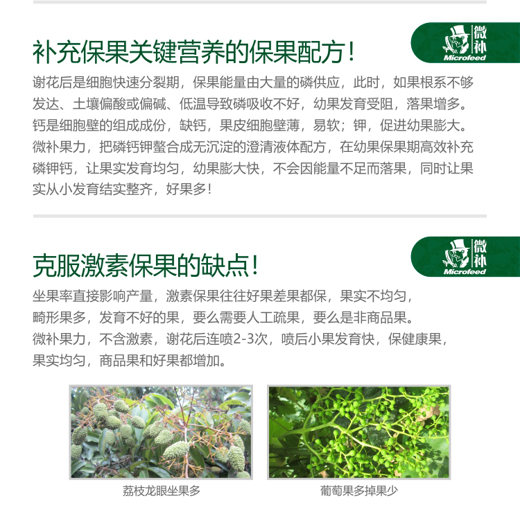 微補(bǔ)果力