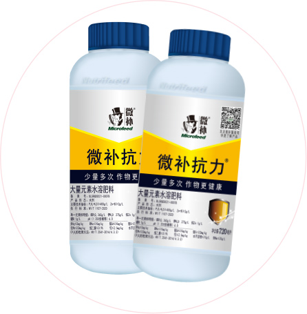 如何做好冬季清園，減少來年病蟲害影響