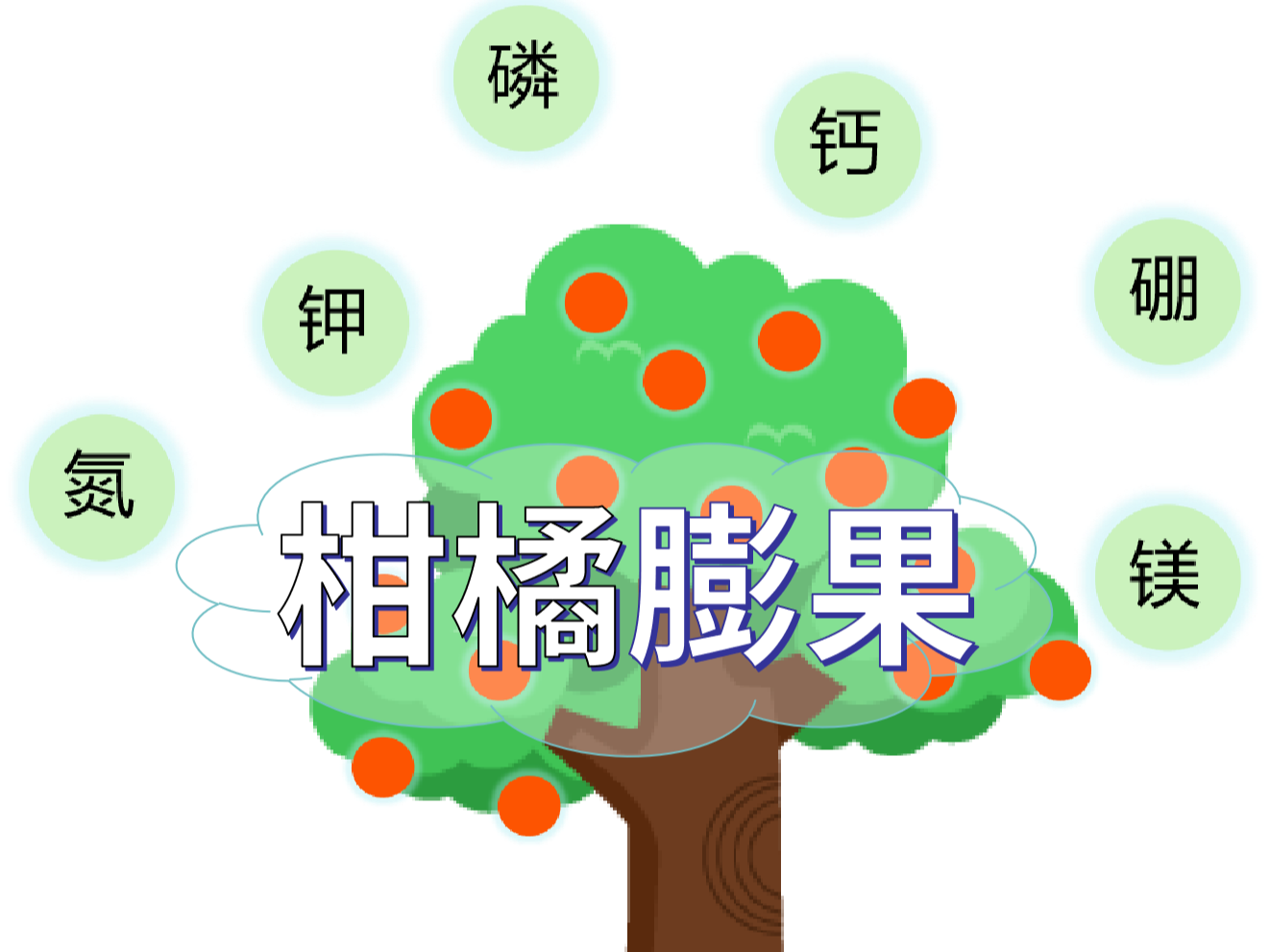 柑橘膨果慢？找準(zhǔn)原因，“對癥下藥”