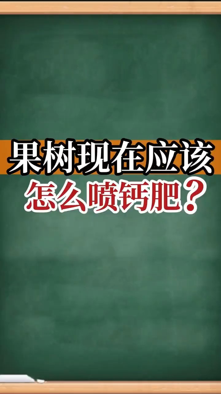 果樹(shù)現(xiàn)在應(yīng)該怎么噴鈣肥？